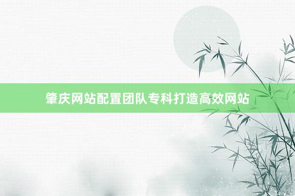 肇庆网站配置团队专科打造高效网站