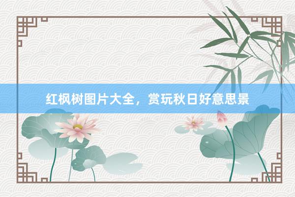 红枫树图片大全，赏玩秋日好意思景
