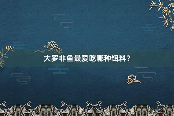 大罗非鱼最爱吃哪种饵料？