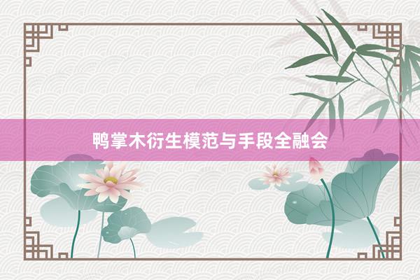鸭掌木衍生模范与手段全融会