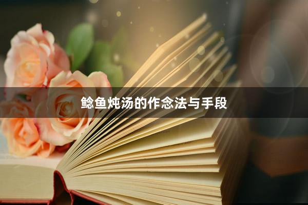 鲶鱼炖汤的作念法与手段